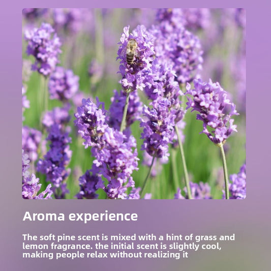 Lavender Scented Relaxation Oil